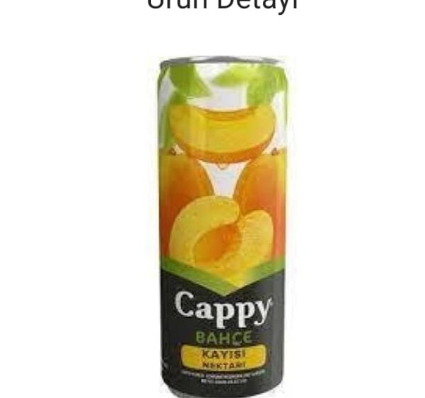 CAPPY KAYISILI MEYVE SUYU 330 ML