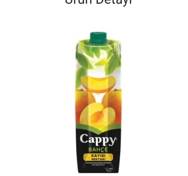 CAPPY KAYISILI MEYVE SUYU I LT