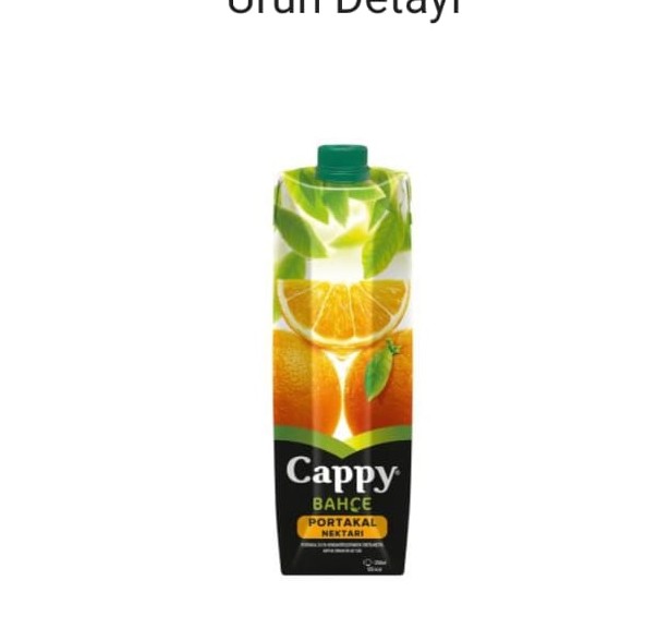 CAPPY MEYVE SUYU PORTAKAL I LİTRE 12 LI KOLİ