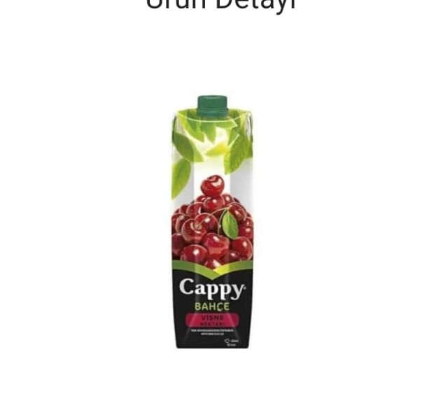 CAPPY TETRA BAHÇE VİŞNE MEYVE SUYU I