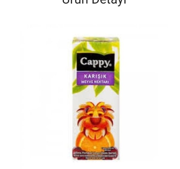 CAPPY BAHÇE KARIŞIK MEYVE NEKTARI 200 ML